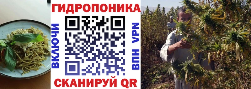 наркота  Гулькевичи  Cannafood конопля 