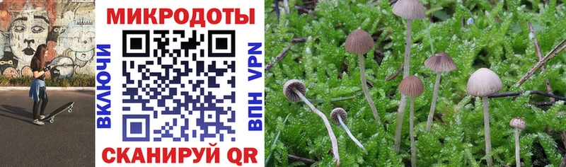 Галлюциногенные грибы прущие грибы  Гулькевичи 